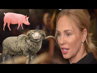 شرين رضا تسخر من خروف عيد الاضحى للمسلمين وتشبه بالخنزير !!