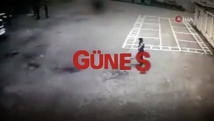 Uyuşturucu kuryesi kedi gardiyanlara yakalandı