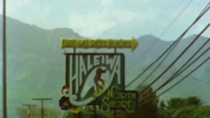 Lana Del Rey - Hawaiian Tropic