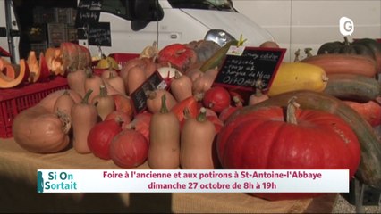 Le bal de l'automne, Foire à l'ancienne, Ibrahim Maalouf, Stings "My song" - 25 OCTOBRE 2019