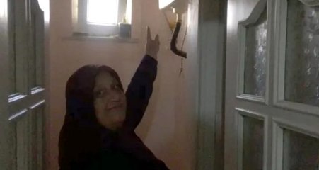 Tatil dönüşü büyük şok! Tuvalet sifonunda saklamıştı ama…