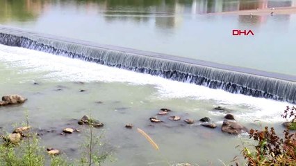 Rize kırmızı benekli alabalıkların nesli tükeniyor