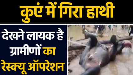 Elephant rescue operation video viral, odissa के Sundergarh की घटना | वनइंडिया हिंदी