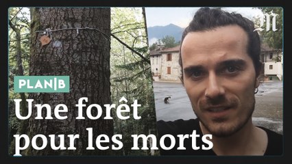 « Plan B » : Une forêt pour enterrer ses morts de façon plus écologique