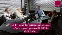 La Tribune des Critiques de Disques - Sonate pour piano n°18 D.894, de Schubert