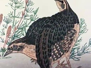 Japanese Art UKIYOE UTAMARO(1753-1806) Udura Woodcut浮世絵 歌麿 木版画　うづら