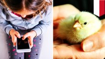 Wali Kota Bandung cegah kecanduan gadget dengan bagikan anak ayam pada anak - TomoNews
