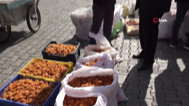 Natürel kayısı, üreticisinin yüzünü güldürdü