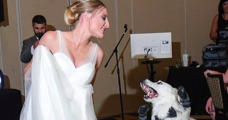 Hannah et Shane, un couple qui prouve que le réel amour n’a aucune limite