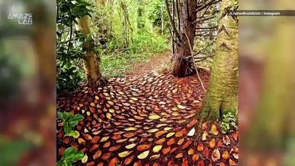 Artist Uses Materials Found in Nature to Make Intricate Masterpieces