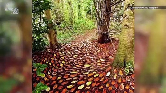Artist Uses Materials Found in Nature to Make Intricate Masterpieces