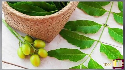 சேற்றுப்புண்ணை குணப்படுத்த இதை செய்யுங்கள்..!