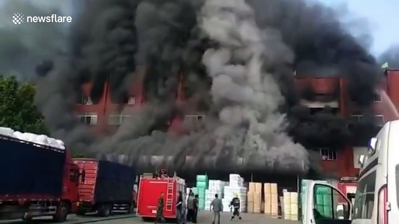 Huge fire breaks out at fur factory in China