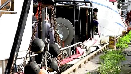 En mer Baltique, la traque des filets de pêche "fantômes"