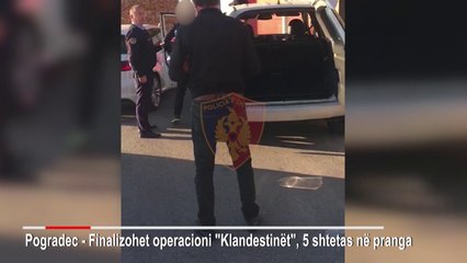 Transportonin klandestine per 1500 Euro, 5 te arrestuar