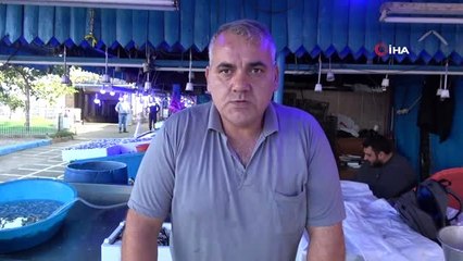 Hamside son yılların en bereketli dönemi yaşanıyor