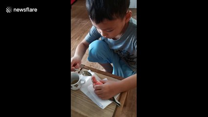 Thai boy feeds baby budgie with spoon