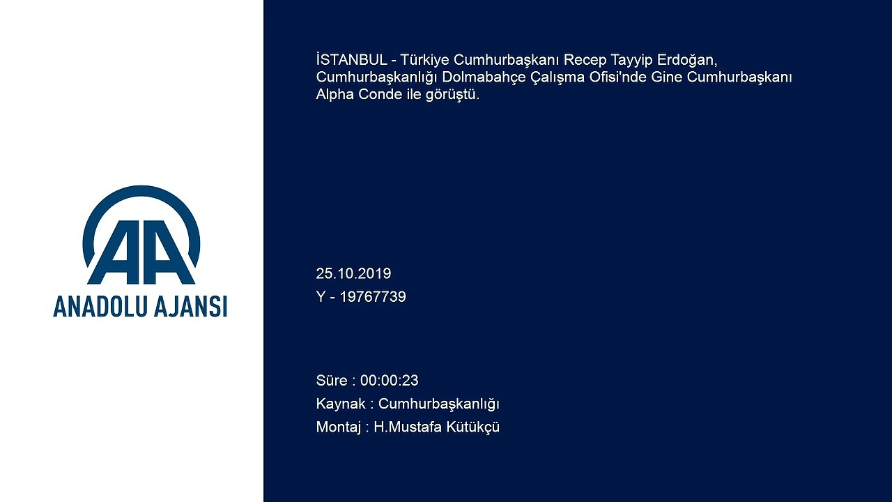 Türkiye Cumhurbaşkanı Erdoğan, Gine Cumhurbaşkanı Alpha Conde ile görüştü - İSTANBUL