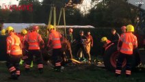 Horse Rescued after Falling into Muddy Pit