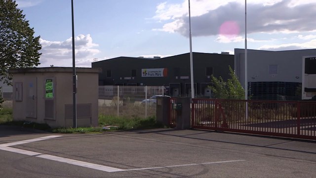 EXCLU AVANT-PREMIERE: Découvrez les 1ères images du magazine Capital , qui a enquêté sur le succès de Grand Frais , diffusé ce soir sur M6 - VIDEO