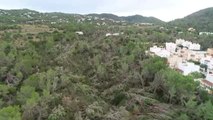 Las impresionantes imágenes de los árboles tumbados por el viento en Ibiza