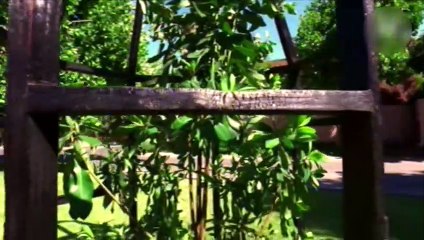 city tour 10 años, capítulo 34, temporada 2019 (24-10-19)