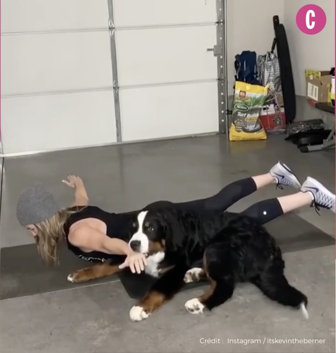 Quand un chien s'improvise coach sportif