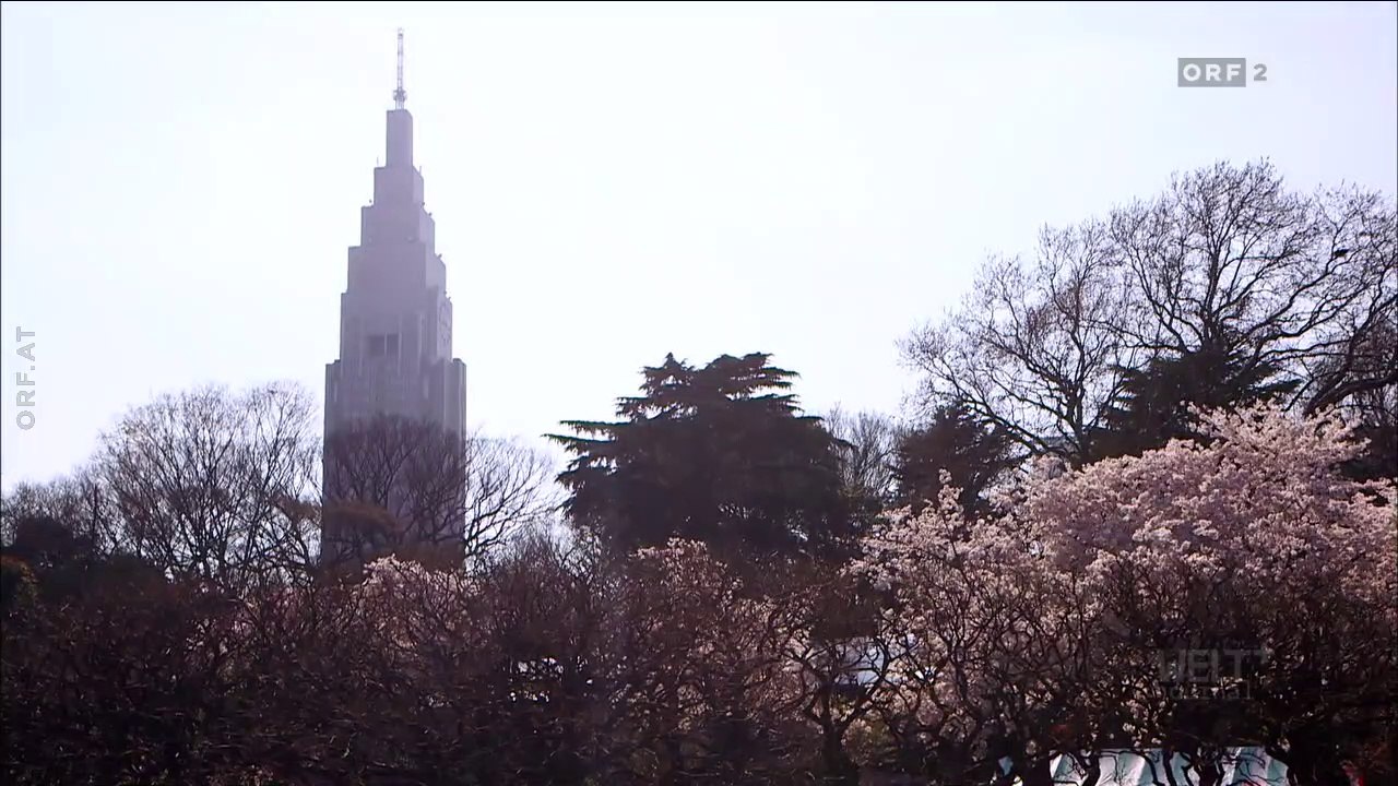 Einsame Herzen - Liebe und Sex in Japan