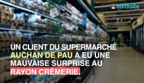 Scandale : des yaourts grignotés par des rongeurs dans ce Auchan