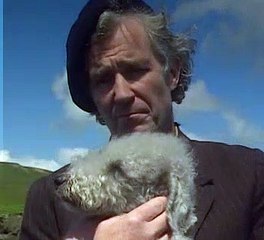 All Creatures Great & Small - s07e09 - A Grand Memory for Forgetting