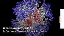 What is Adenovirus? An Infectious Disease Expert Explains