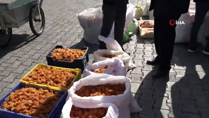 Malatya Kayısısında 2 Ayda 18 Bin Ton İhracat Gerçekleşti