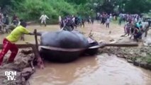 Dans l'est de l'Inde, des paysans sont venus en aide à un éléphant coincé dans une mare de boue