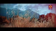 DJ  REMIX Pattathi Ellolam Thari Ponnenthina Latest Malayalam song