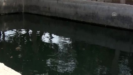 Sıra arkadaşı 2 çocuk aynı kaderi paylaştı