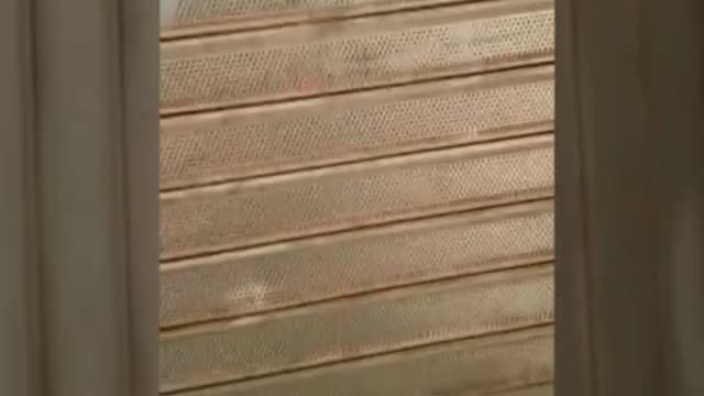 La sede del PSC en Terrassa sufre ataques de independentistas