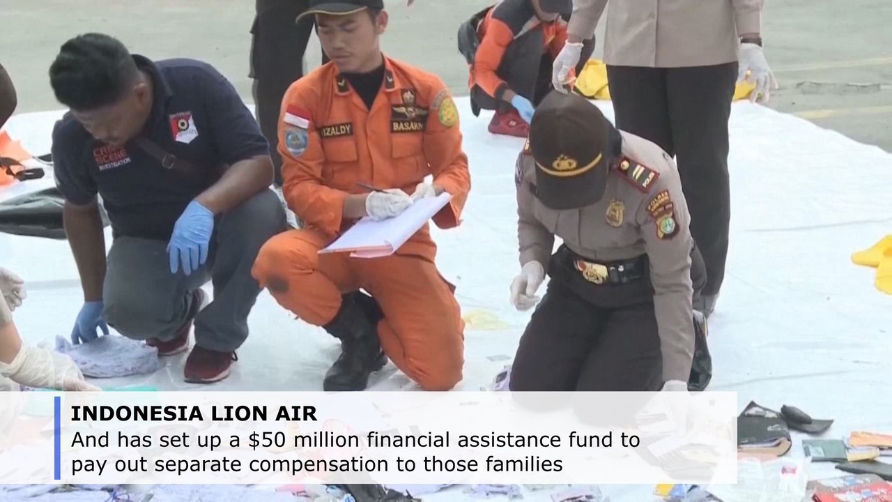 Boeing, FAA at fault for fatal Lion Air 737 MAX crash