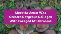 Meet the Artist Who Creates Gorgeous Collages With Foraged Mushrooms