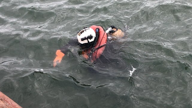 Un canon repêché par un chalutier de Lorient