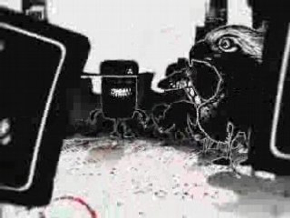 CHARETTE97420TV présente 974 TV