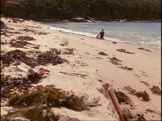 Trouble In Paradise 1/4