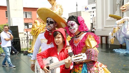 dbb-festival-luz-2019-251019