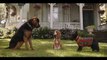 Lady and the Tramp Trailer #2 (2019) - Movieclips Trailers