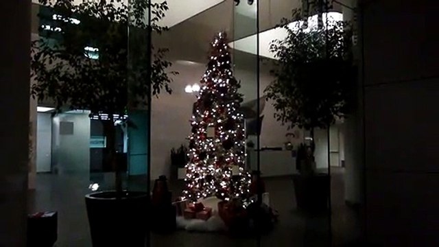 Noel 2018, San Jose, CA, USA