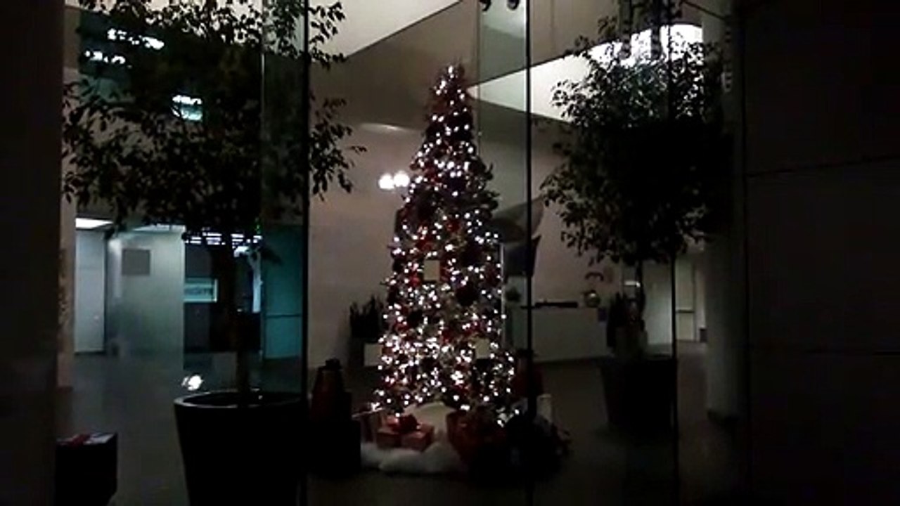 Noel 2018, San Jose, CA, USA
