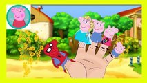 Peppa Pig Eating Lollipop New Episodes With Spiderman VENOM HULK Finger Family Nursery Rhymes Parody