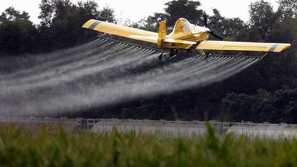 Từ nông thôn nhìn ra thế giới -26/10/2019