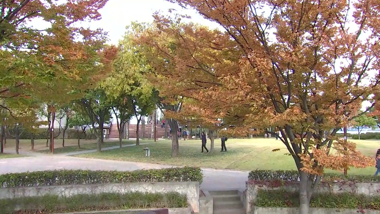 [날씨] 깊어가는 가을...단풍으로 물든 선유도 / YTN