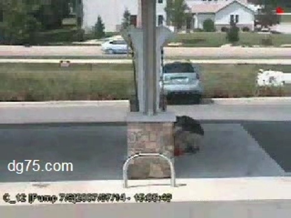 Funny Runaway Car