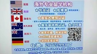 办理美国(USF毕业证)可作认证用《Q /微207 2299 317》专业办理USF南佛罗里达大学USF学历学位认证 高仿毕业证/USF修改成绩单GPA分数/USF文凭学历真实认证/真实大使馆/真实留信网认证University of South Florida (USF)